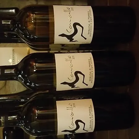 Vakantieboerderij Pietra Maula Castelraimondo