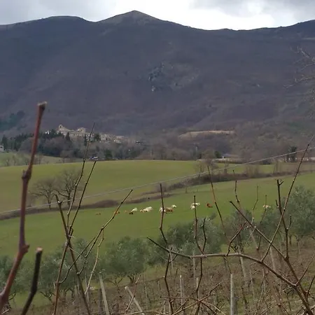 Pietra Maula Castelraimondo