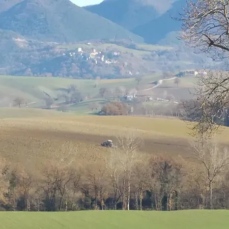 Pietra Maula Castelraimondo