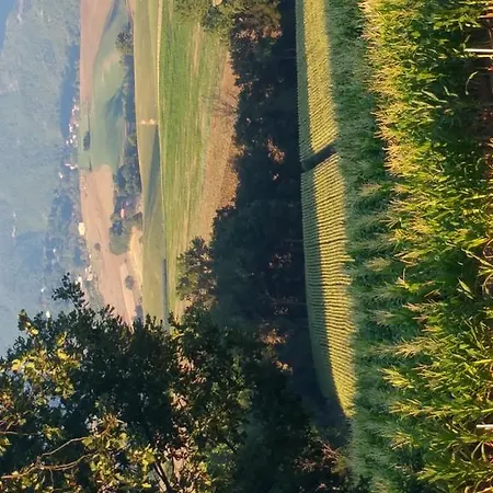 Pietra Maula