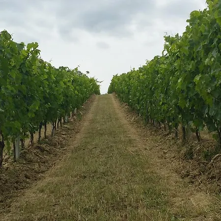 Vakantieboerderij Pietra Maula