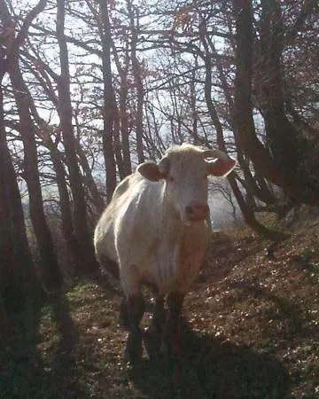 Farm stay Pietra Maula Castelraimondo