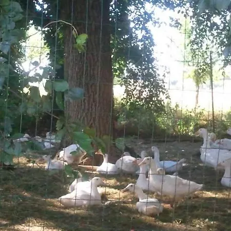 Farm stay Pietra Maula