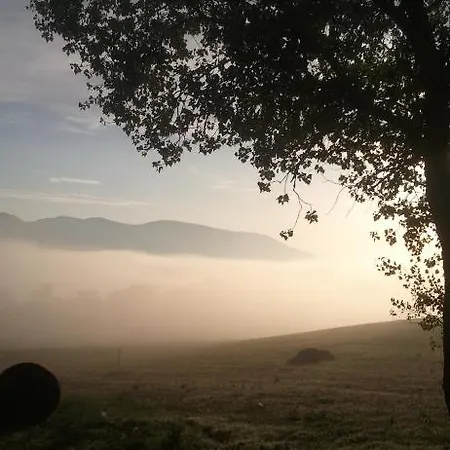 Pietra Maula