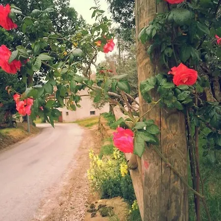 Pietra Maula * Castelraimondo